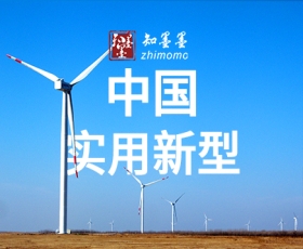 中国实用新型专利
